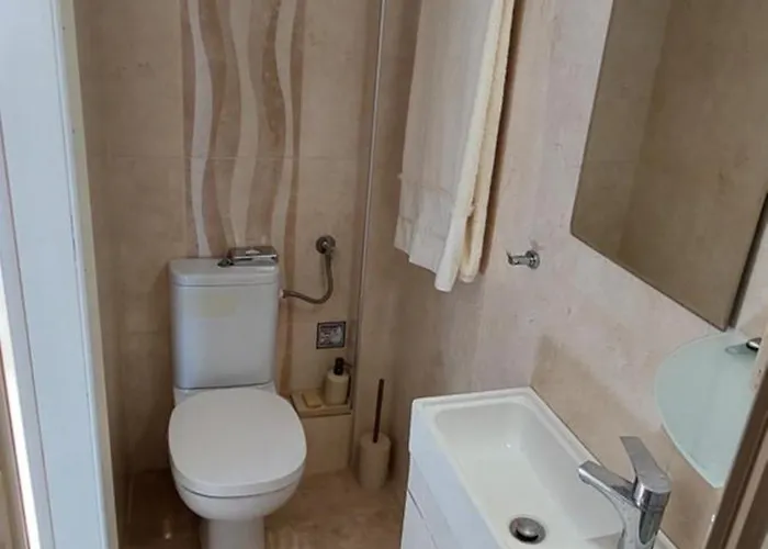 Artemis златна гледка към морето 公寓 波利克罗诺